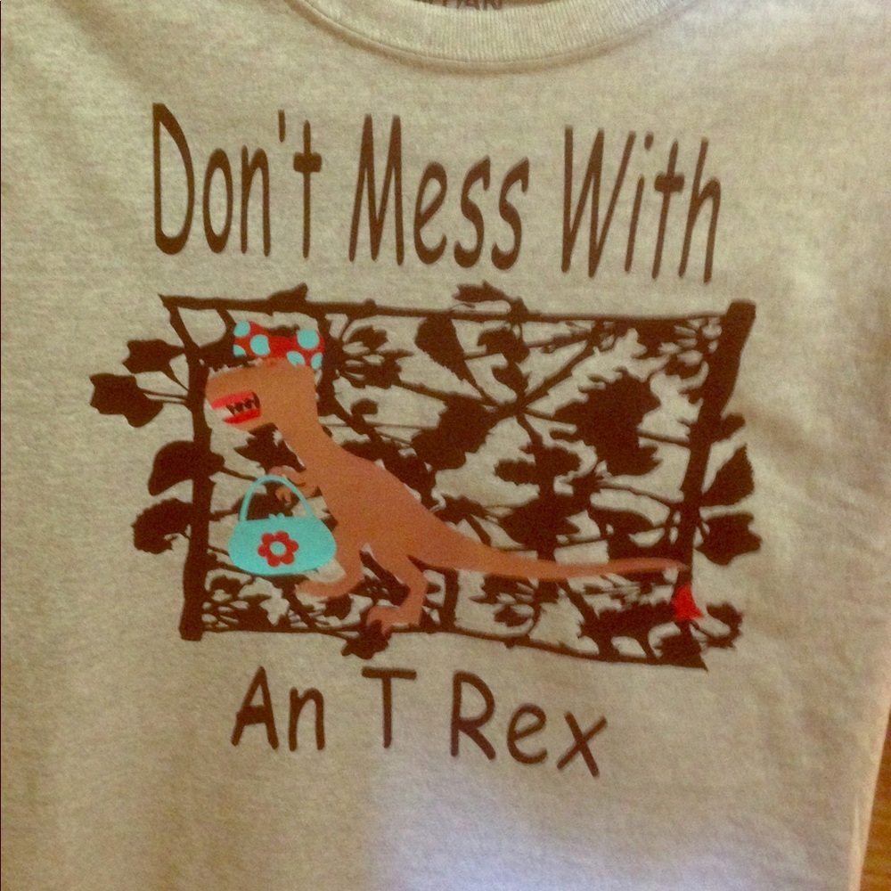 Dinosaur T shirt with a funny saying.